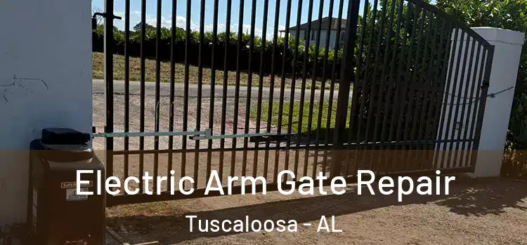 Electric Arm Gate Repair Tuscaloosa - AL